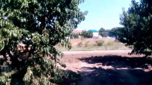 "Персиковый рай" Кучугуры