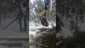 харвестер на базе экскаватора вольво