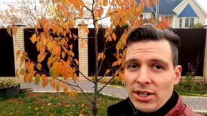 ЗАГУБИЛИ ИЛИ СПАСЛИ?! ЧТО СТАЛО С ЧЕРЕШНЕЙ РЕВНА: ИТОГИ ВЕСЕННЕГО ЛЕЧЕНИЯ МОРОЗОБОИН