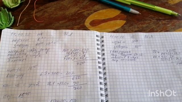 15.10.22 Минус 1,7 кг за неделю-взвешивание-мои тетради для похудения-замеры-пою... смотреть онлайн