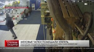 Сотрудниками транспортной полиции в аэропорту Пулково раскрыто тайное хищение дорогостоящих меховых