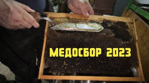 Медосбор - Качка / Главный день в жизни пчеловода за 12 минут.