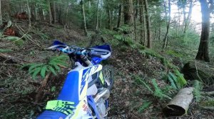 Lectron Billetron First Impressions Review