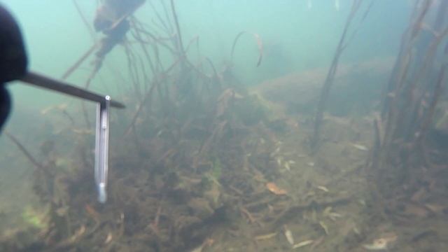 Осений лещь (г.Обнинск р.Протва) смотреть онлайн