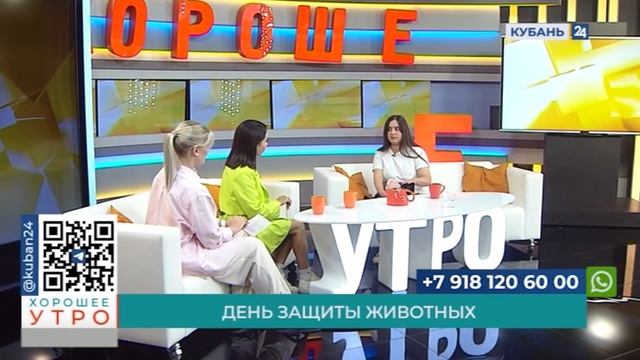 Зооволонтер Мария Сидоренко: стерилизация полезна для здоровья питомцев