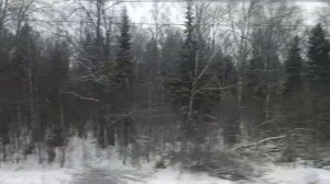 Вид из окна поезда №927 сообщением Москва - Переславль-Залесский