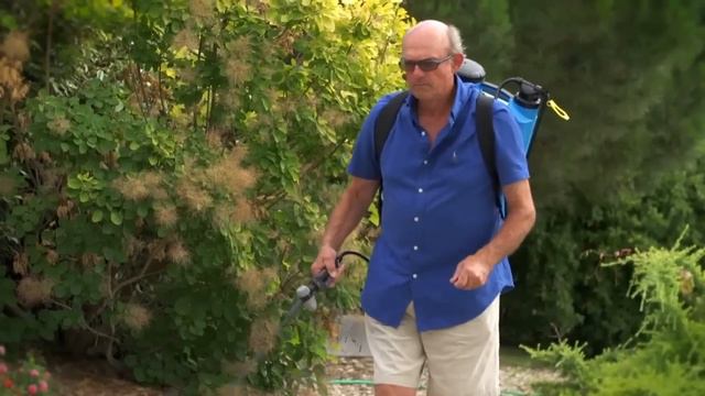 Les plantes "COUVRE-SOL" par Globe Planter