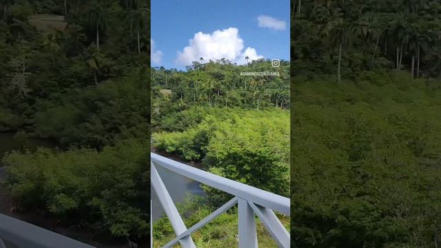 CUBA TIENE LUGARES GRANDIOSOS: Parque Alejandro de Humboldt en Baracoa