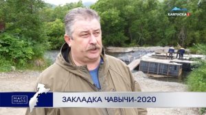 Закладка чавычи - 2020