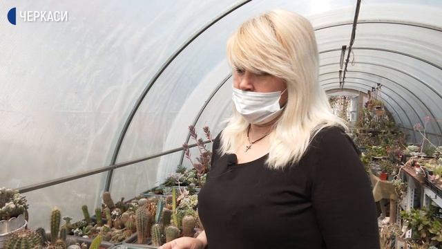 Черкащанка зібрала колекцію сукулентів смотреть онлайн