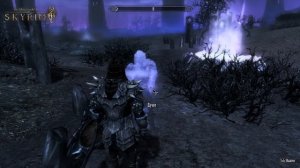 Skyrim►Где найти череп Арвака