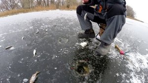 Зимняя плотва на заливах Днепра в Кременчуге