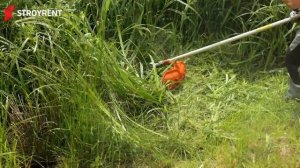 Обзор мотокосы (триммера) Husqvarna 143R ll