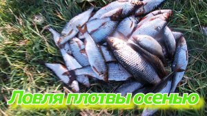 Рыбалка на плотву в октябре.Ловля плотвы.