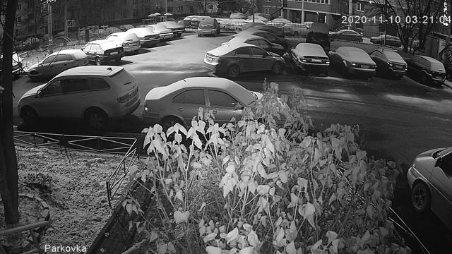 Крокодил не ловиться не растёт кокос, да и для грибов вроде не сезон смотреть онлайн