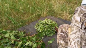 Как быстро и качественно сделать березовый веник для бани. Как правильно сделать веник для бани