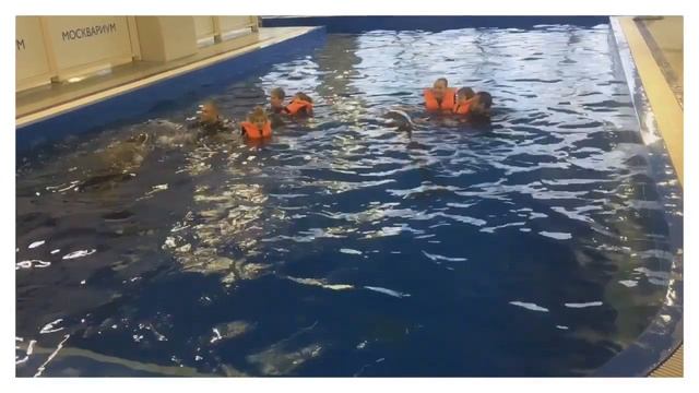 Moscow ? Купание с Дельфинами Незабываемо! смотреть онлайн