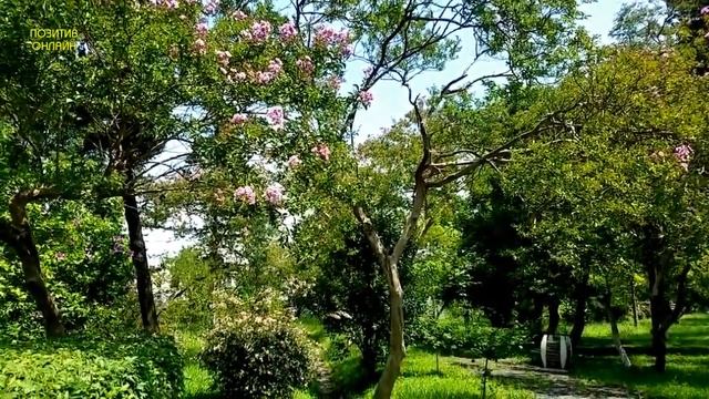 Успокаивающая музыка, позитивный настрой, хороший сон смотреть онлайн