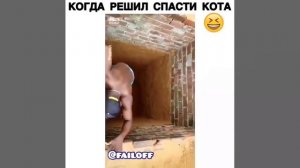 Когда решил спасти кота
