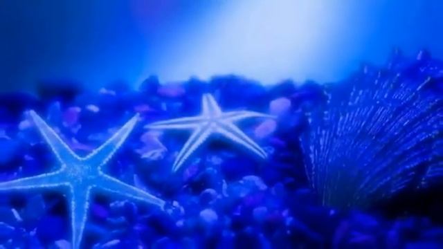 ПОТРЯСАЮЩЕ КРАСИВАЯ ЛИРИЧНАЯ МУЗЫКА. РОМАНТИЧНАЯ АРАБСКАЯ МЕЛОДИЯ. Безусловно стоит послушать.