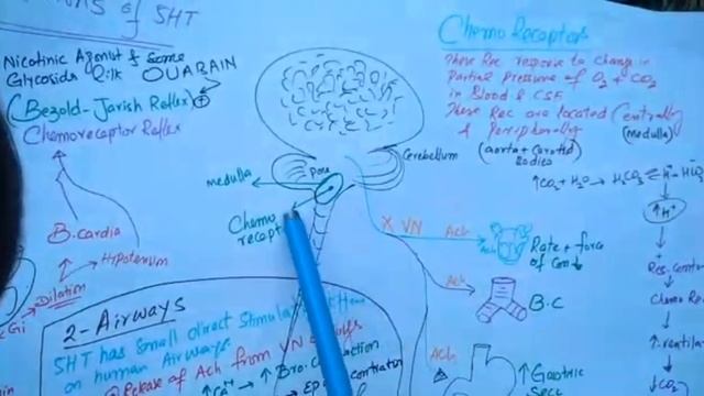 Serotonin 4 Autacoids Leacturs Part 20 | Dr Naveed Muhammad lectures смотреть онлайн