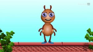 Incy Wincy Spider Nursery Rhyme With Lyrics - Cartoon Animation Rhymes & Songs for Children