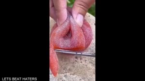 Подборка смешных видео и приколов 101? Лучшие ПРИКОЛЫ 2023