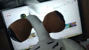 НАШЕЛ СПОСОБ БЫСТРО НАКОПИТЬ НА ПОДАРОК ЧЕРЕПУХУСУ...