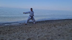 Ката Хейан нидан под музыку. ALMAZ каратэ клуб. Абэ-рю.(Учебное пособие, shotokan kata: heian nidan