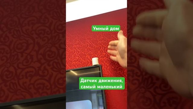 Самый маленький беспроводной датчик движения. #умныйдоммосква #nts #тульскийэлектрик #умныйдом