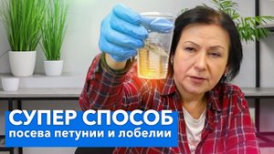 ТАКИМ СПОСОБОМ СЕЯТЬ МЕЛКИЕ СЕМЕНА ПРОЩЕ ВСЕГО! Посев лобелии, бегонии, петунии методом “трех-плех”