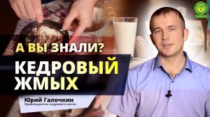 А вы знали, что с КЕДРОВОГО ЖМЫХА можно сделать множество ВКУСНЕЙШИХ блюд?