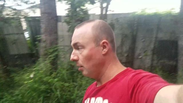 Собаки в Австралии Ч2 смотреть онлайн