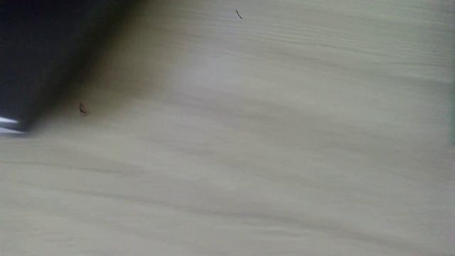 я показываю видео с маминого телефона ссылка на мистера мита смотреть онлайн