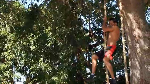 Luis "Baboon" Palomino Training смотреть онлайн