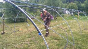 Рассадник для Клубники 2020