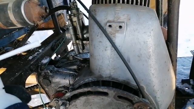 НЕ ПОКУПАЙТЕ МУРАВЕЙ - это жесть!!! смотреть онлайн