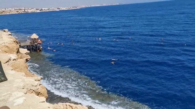 Гранд Отель Шарм Эль Шейх. Египет. Стоит ли ехать?