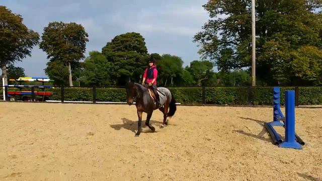 Ballydavid Fianna Lot No. 71 смотреть онлайн