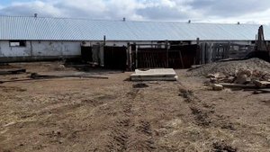 Как мы строим откормочную базу для быков