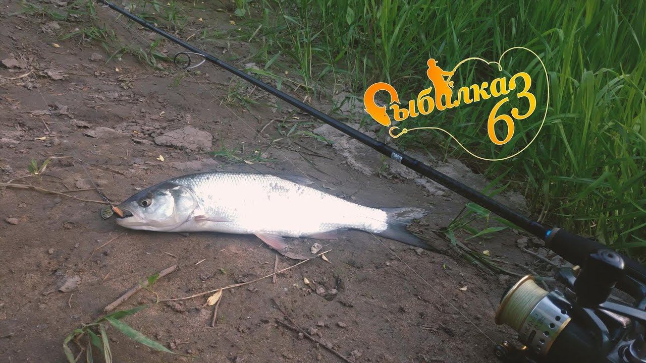 Вечерняя рыбалка на спиннинг летом
