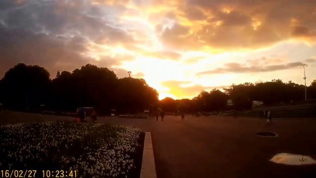 ВЛОГ: Где погулять в Москве смотреть онлайн