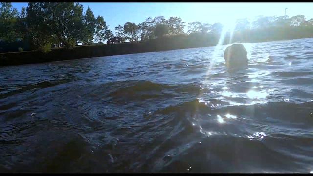 Мы переплыли Ивановский карьер в Санкт Петербурге!!! смотреть онлайн