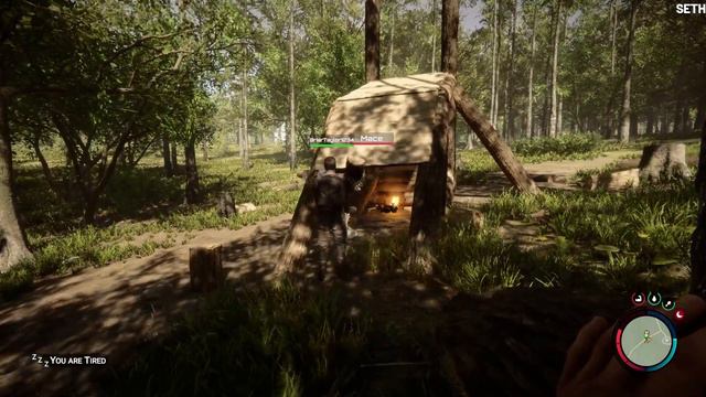 Sons of The Forest is NSFW смотреть онлайн