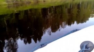 Лодка Ямаран 380 и мотор ямаха 8 л.с р.