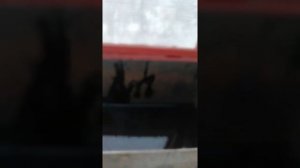 29.12.2020 г. Зимняя теплица с резервным электроподогревом и печкой на отработке