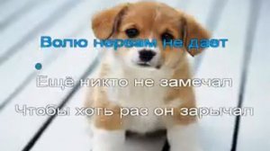 Караоке для детей Человек собаке друг