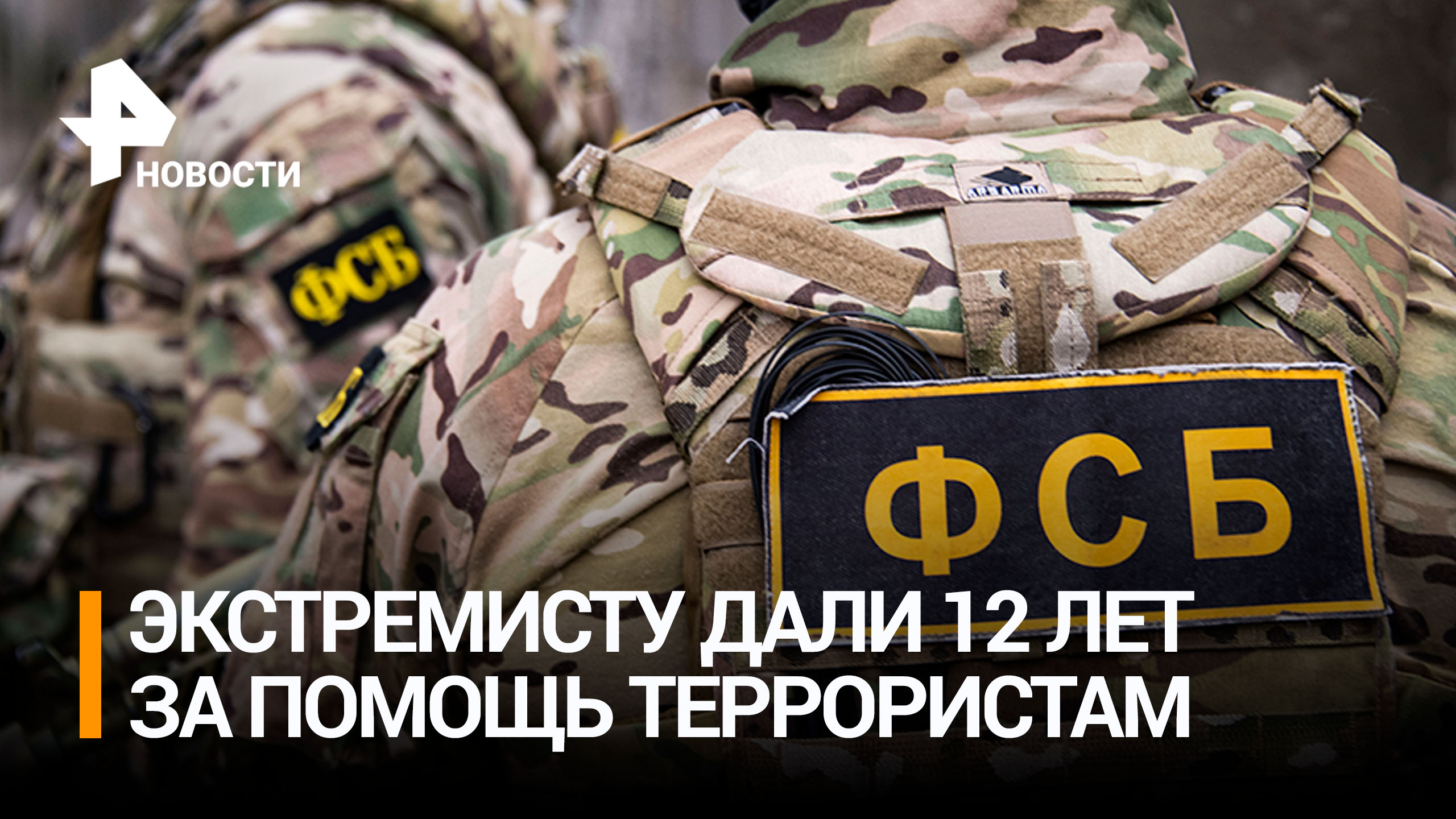 В Петербурге на 12 лет посадили экстремиста за помощь террористам и реабилитацию нацизма / РЕН