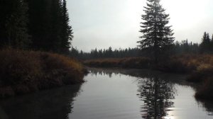 35 серия Тайга след от Золотодобывающей Драги Сруб Избы Бани Вертолетная площадка Сухой Пит