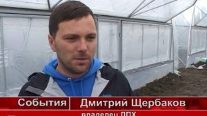 В сельских поселениях развиваются личные подсобные хозяйства